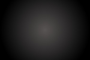 Homo neanderthalensis