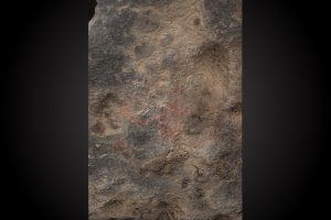 Transmorph pictograph